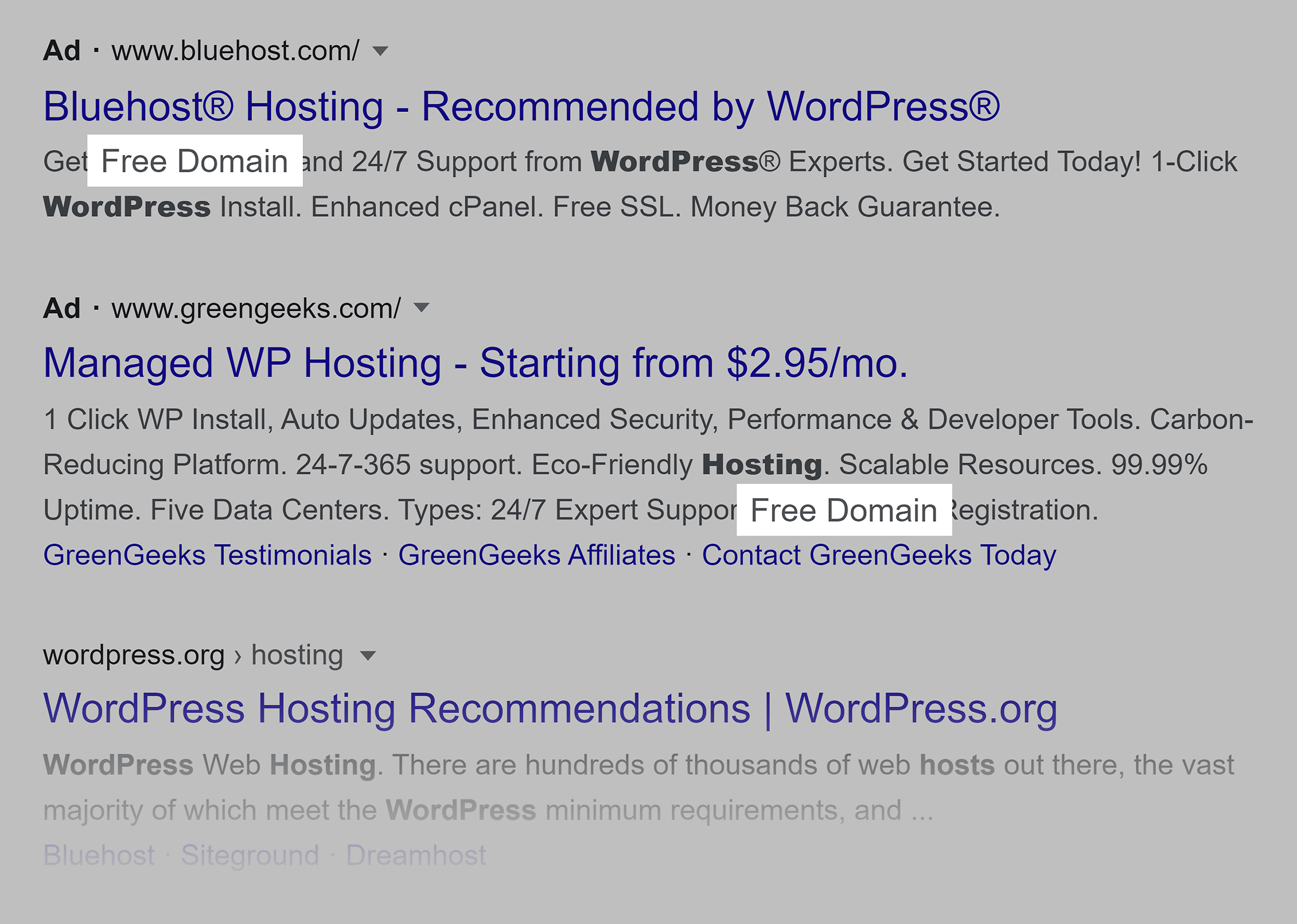 Google SERP Ad Google SERP Ad