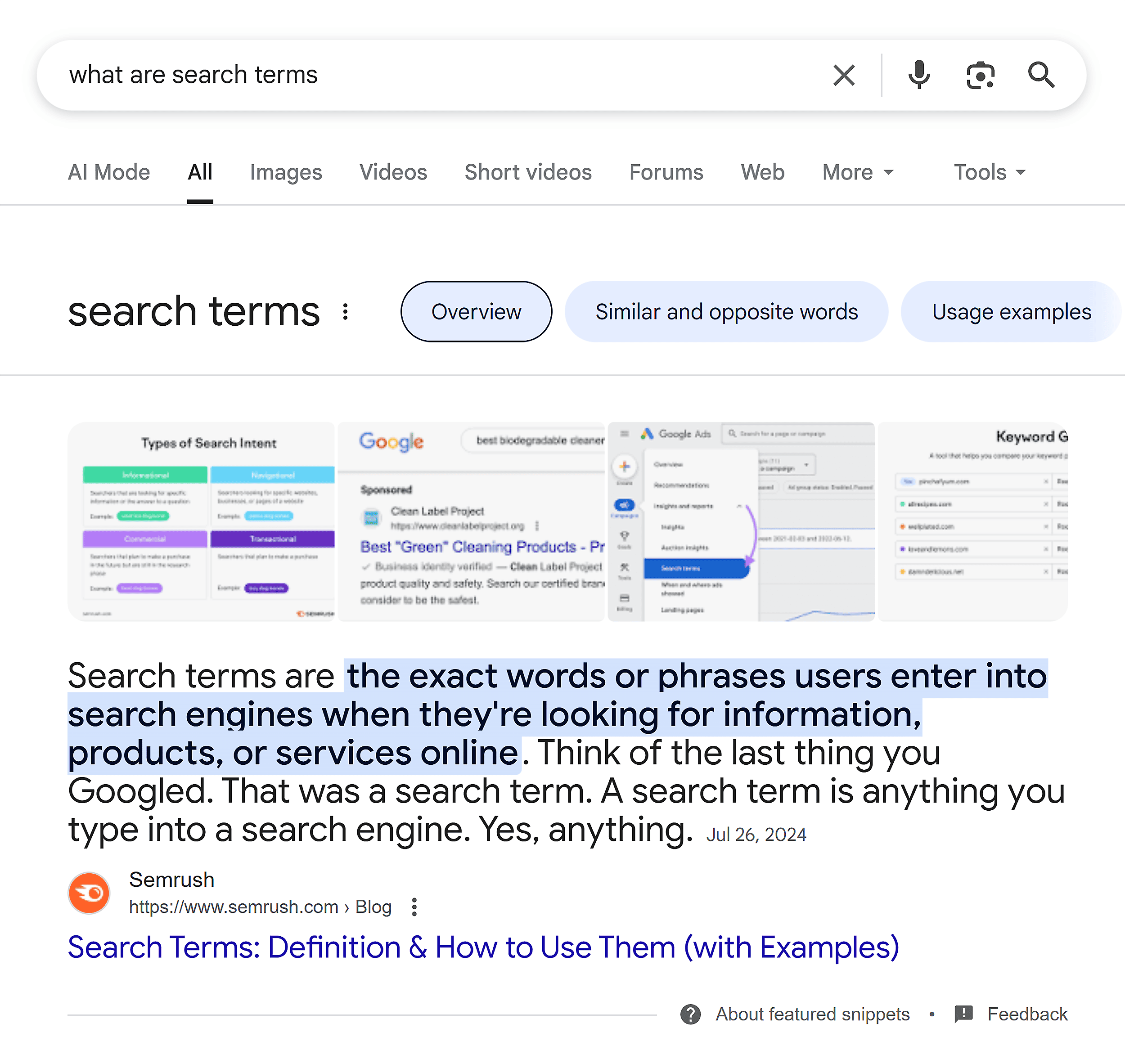 Google SERP – What are search terms – Featured snippet